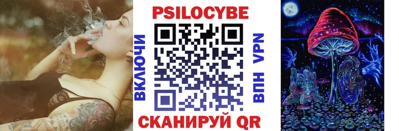 Псилоцибиновые грибы Psilocybine cubensis Нарьян-Мар