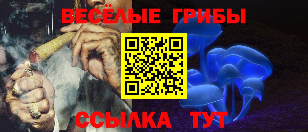 Нарьян-Мар  где найти   Вход с VPN  Псилоцибиновые грибы Cubensis  Галлюциногенные грибы прущие грибы 