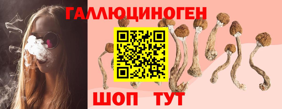 Галлюциногенные грибы Cubensis Нарьян-Мар
